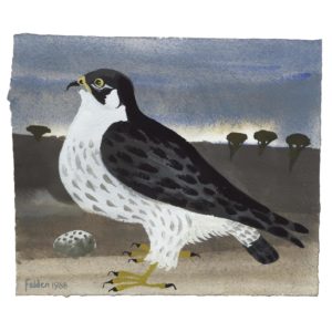 MARY FEDDEN. OSPREY.