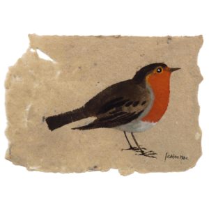 Mary Fedden. Robin.