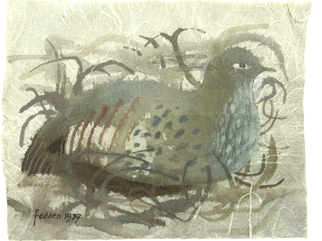 Partridge on nest edited