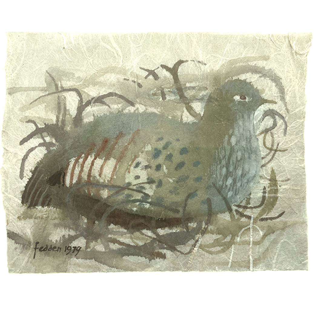 Partridge on nest square