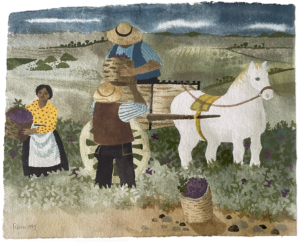 Mary Fedden painting of the grape harvest with a horse and cart